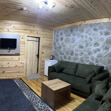 Hotel Albatros Uzungoel Caykara