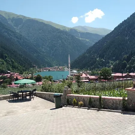 Albatros Uzungoel * Caykara