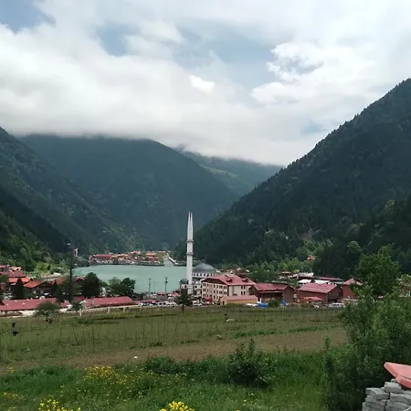 Albatros Uzungoel Hotel *