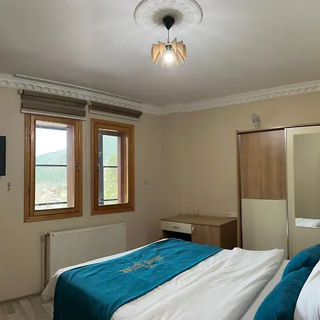 Albatros Uzungoel Hotel *