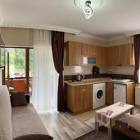 Hotel Albatros Uzungoel